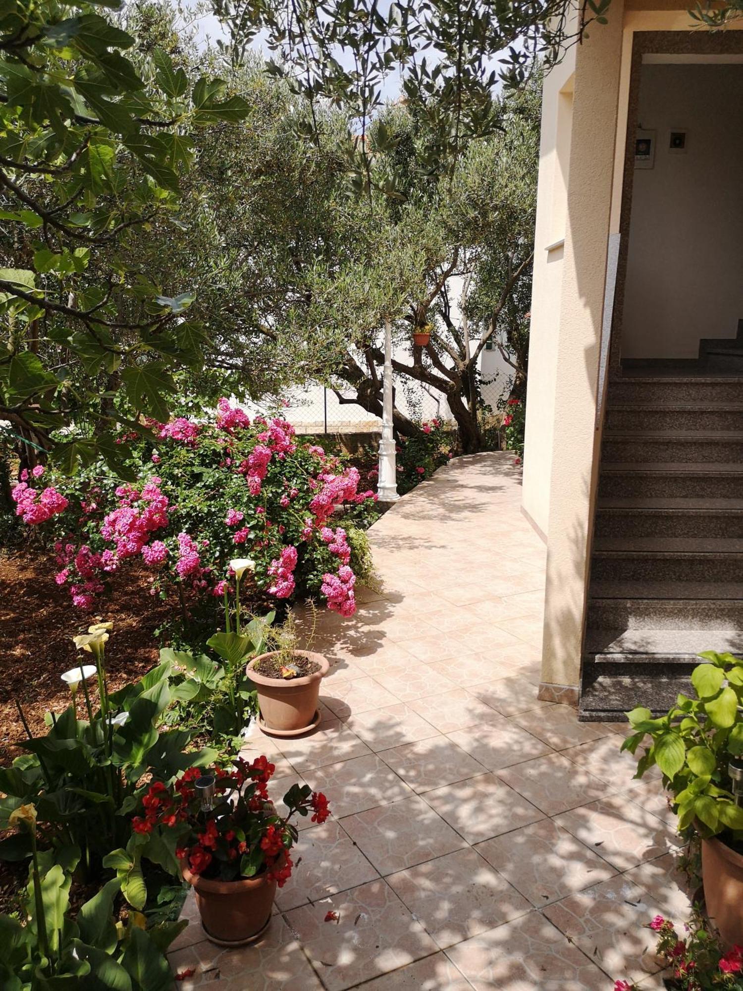 ז'אבוריץ' Apartments Govic מראה חיצוני תמונה