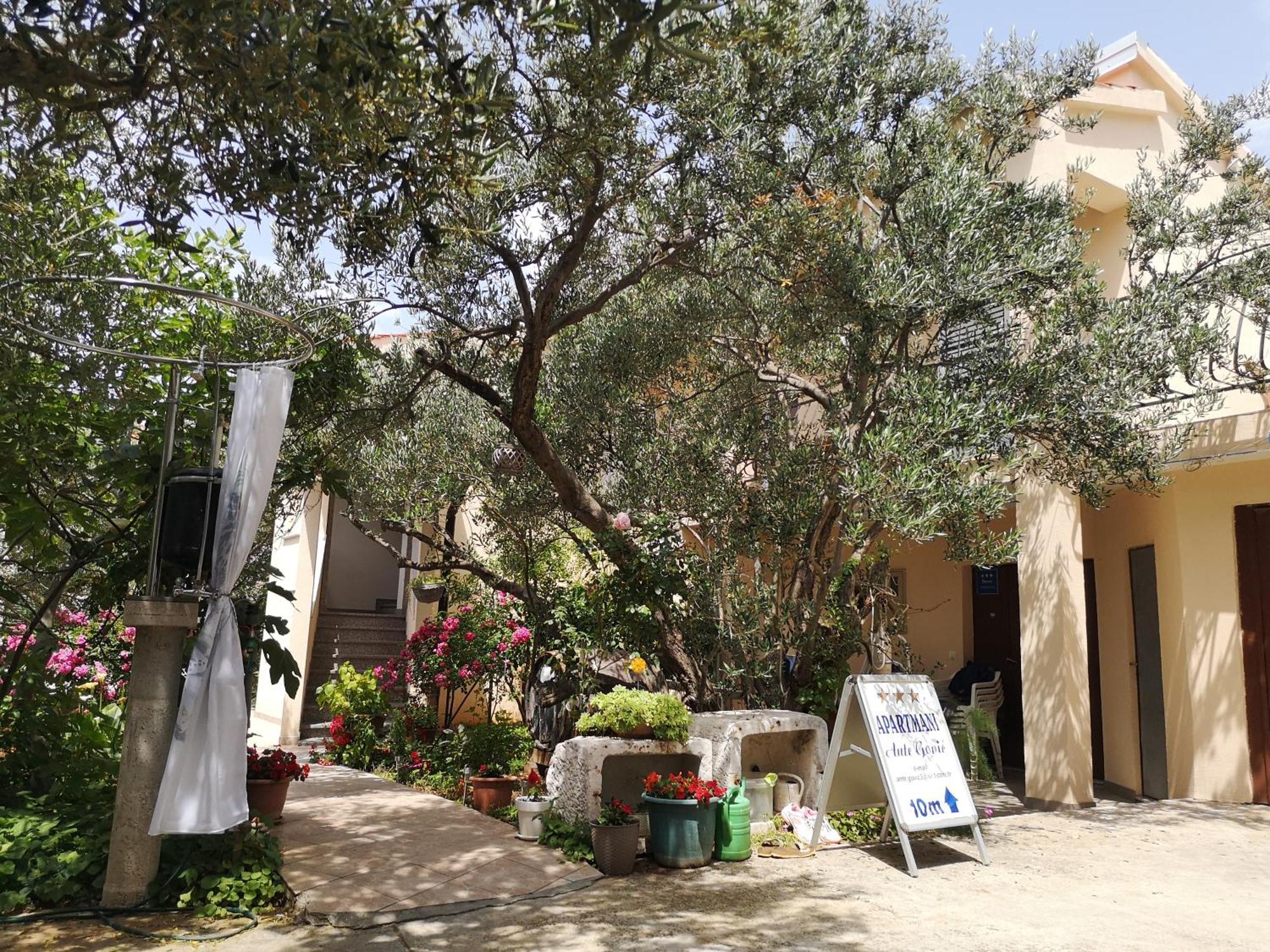 ז'אבוריץ' Apartments Govic מראה חיצוני תמונה