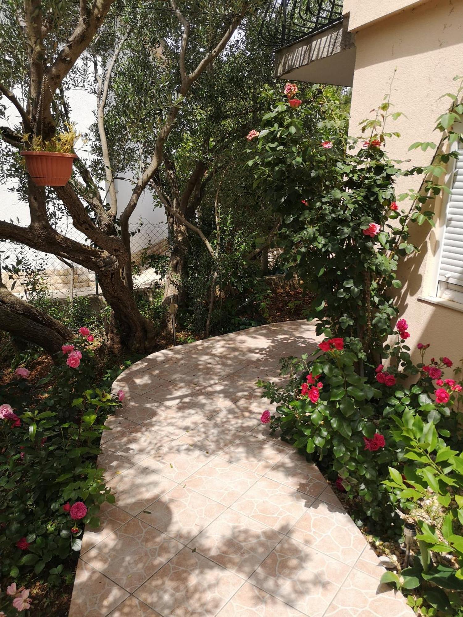 ז'אבוריץ' Apartments Govic מראה חיצוני תמונה